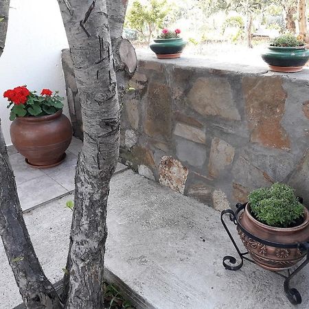 Ferienwohnung Nikiforos House Agios Nikolaos  Exterior foto